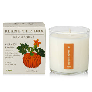 Soy candle with 'Plant the Box' packaging featuring a pumpkin design. and pumpkin label