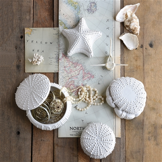Urchin Ceramic Box, Large