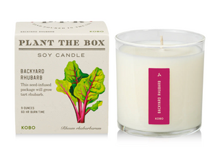 Backyard Rhubarb - Plant the Box Candle - 9oz.