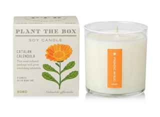 Catalan Calendula - Plant the Box Candle - 9oz.