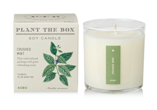 Crushed Mint - Plant the Box Candle - 9oz.