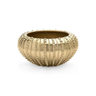 A textured gold-colored brass bowl with a sea urchin-inspired design