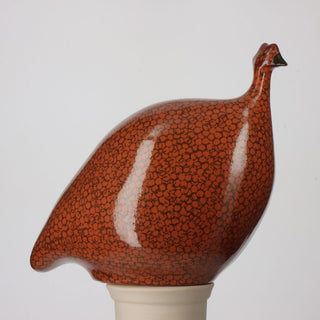 Guinea Fowl (Medium)