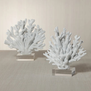 Two white coral sculptures on clear stands against a beige background