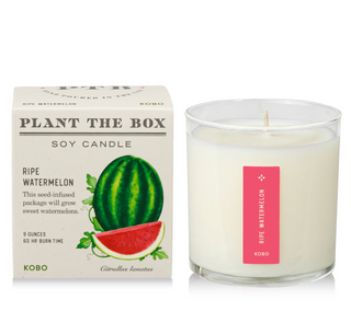 Ripe Watermelon - Plant the Box Candle - 9oz.