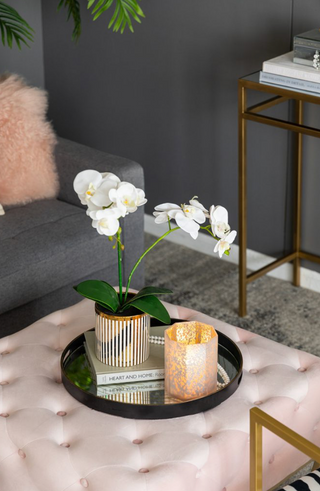 frosted octagonal candle holder decorated on a tray with a potted plant and book