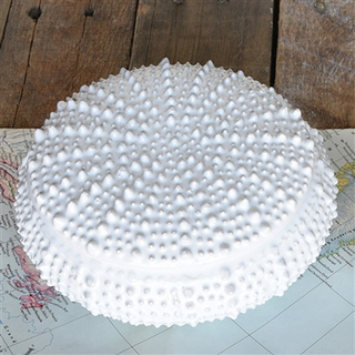 Urchin Ceramic Box, Large