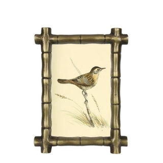 Decorative frame with a bird illustration on a white background