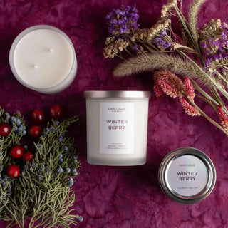 Winter Berry, Travel